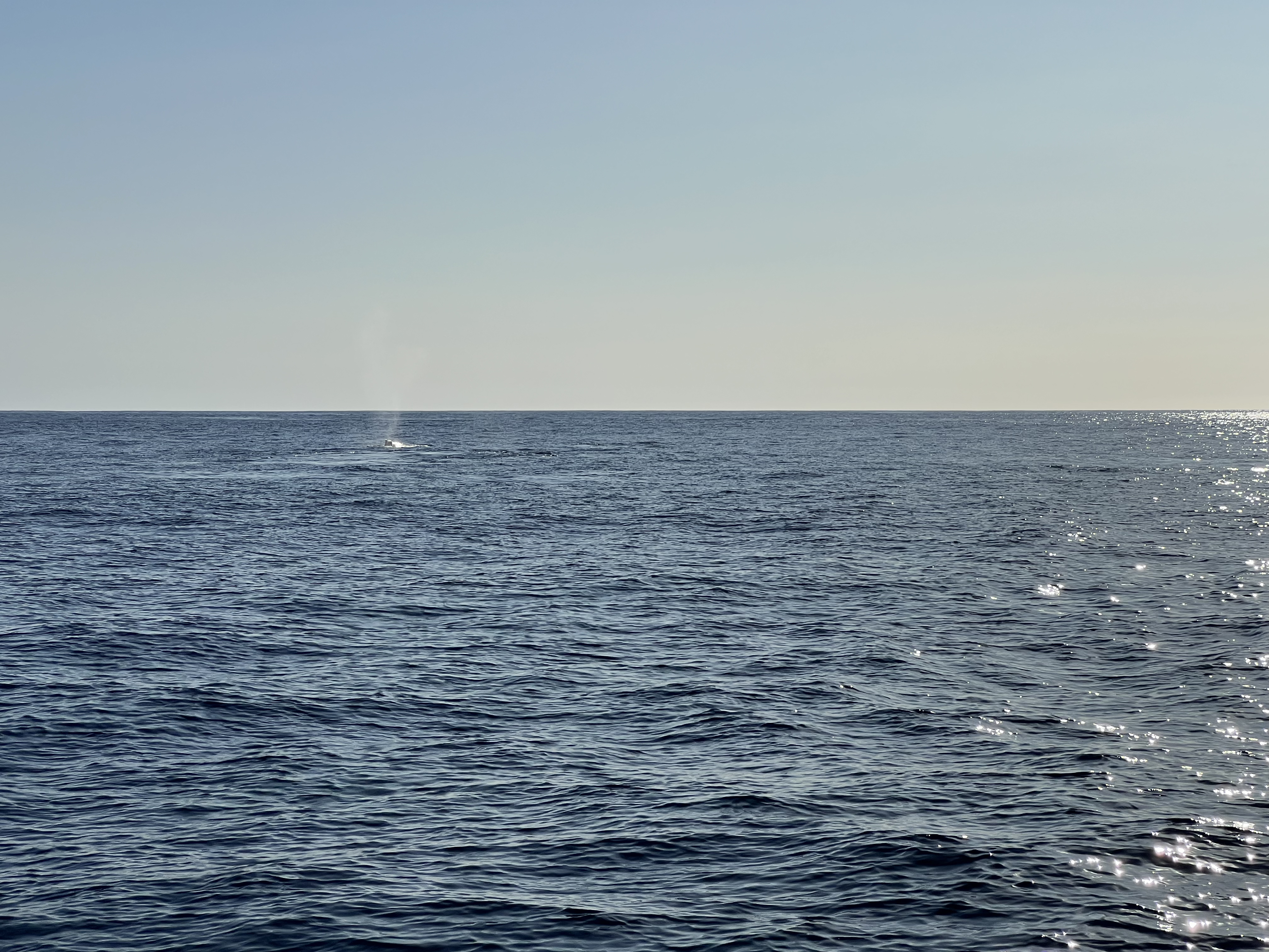 ./2024/13 - Cabo/IMG_4682.jpg